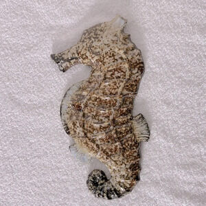 Vintage Brown  Speckled Ceramic Seahorse Wall Decor